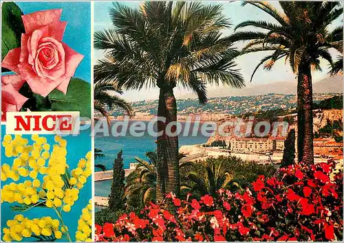 Cartes postales moderne Nice Cote d'Azur French Riviera Vue generale de la Baie des Anges