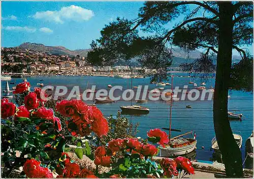 Cartes postales moderne Charmes et soleil de la Cote d'Azur Bandol Perspective sur le port