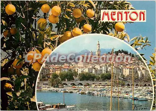 Cartes postales moderne La Cote d'Azur inoubliable