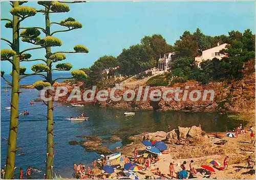 Cartes postales moderne Une Calanque aux Issambres (Environs de St Raphael)