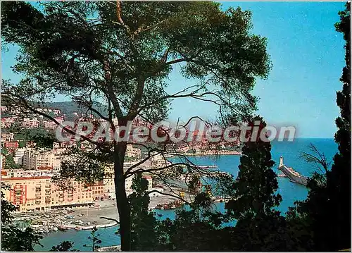 Cartes postales moderne Cote d'Azur Nice Vue sur le Port