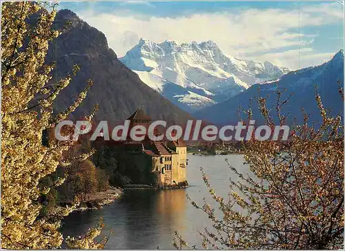 Cartes postales moderne Chateau de Chillon pres Mortreux lac leman et les Dents du Midi