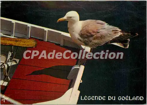 Cartes postales moderne La Bretagne en couleurs legende du goeland