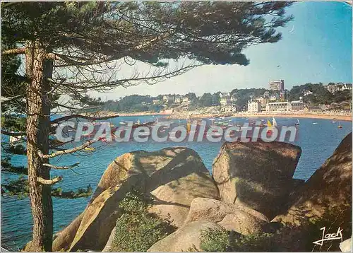 Cartes postales moderne Trebeurden (C du N) Le Port