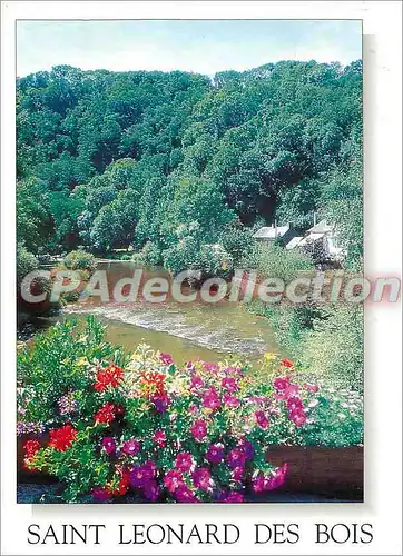 Cartes postales moderne Saint Leonard des Bois (Sarthe) Les bords de la Sarthe