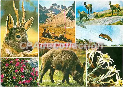 Cartes postales moderne Reflets des Alpes