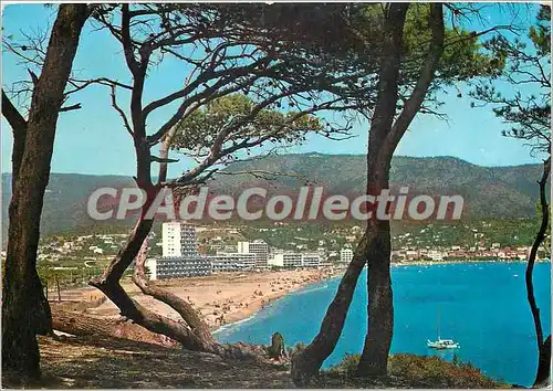 Cartes postales moderne La Cote d'Azur Le Lavandou (Var) La Plage