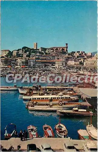 Cartes postales moderne La Cote d'Azur Cannes (A M) Le Port et le Suquet