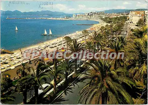 Cartes postales moderne Les Merveilleux de la Cote d'Azur Cannes (A M) Vue generale de la nouvelle Croisette