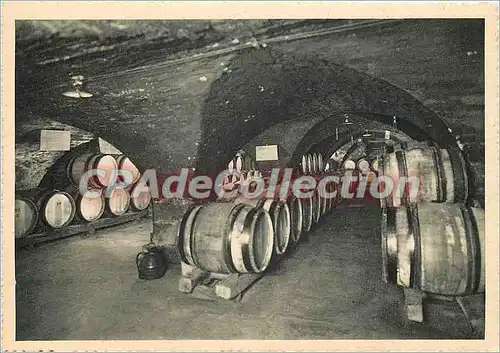 Cartes postales moderne Hotel Dieu de Beaute (Cote d'Or) Une vue des Caves