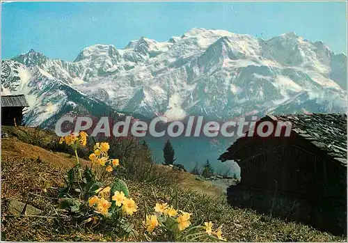 Cartes postales moderne Au Pays du Mont blanc Massif du Mont Blanc