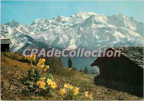 Cartes postales moderne Au Pays du Mont Blanc Massif du Mont Blanc