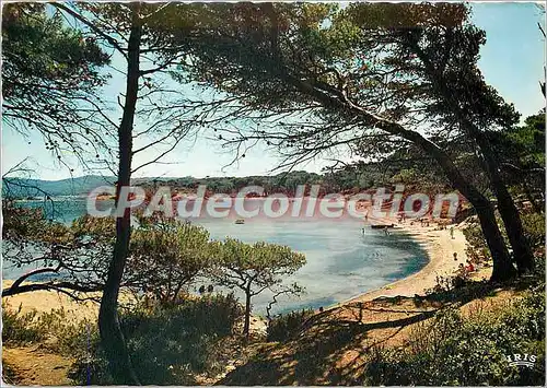 Cartes postales moderne Ile de Porquerolles (Var) la Plage d'Argent