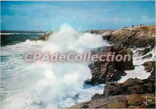 Cartes postales moderne La Bretagne en couleus Presqu'ile de Quiberon Tempere sur la Cote Sauvage