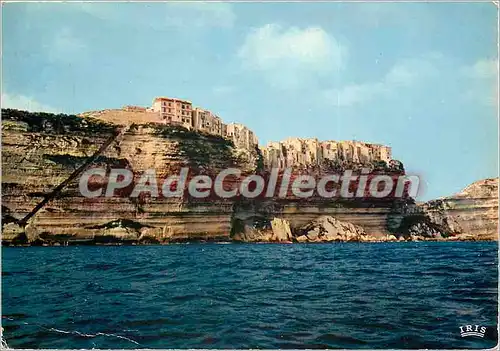 Cartes postales moderne Bonifacio La Haute Ville et l'escalier du roi d'Aragon