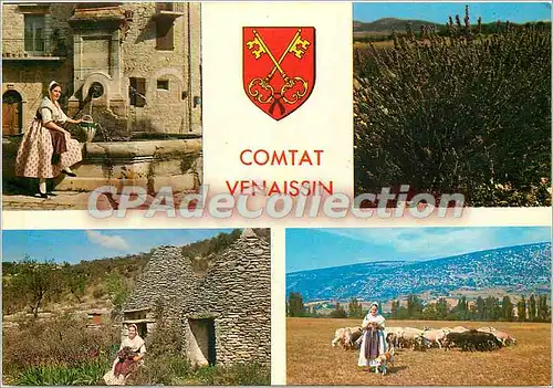 Cartes postales moderne Les Belles images de Provence Scenes Provencales