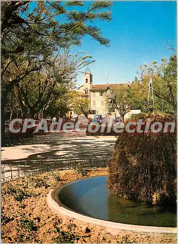 Cartes postales moderne le Beausset Place de la Liberte