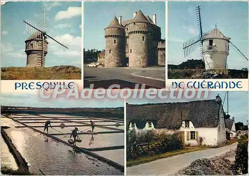 Cartes postales moderne La Bretagne en couleurs Presqu'ile de Guerande Port principal de Guerande le Moulin du Diable
