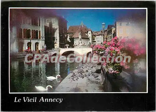 Cartes postales moderne Vieil Annecy