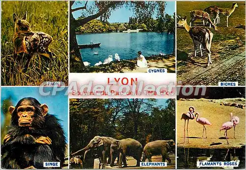 Cartes postales moderne Lyon