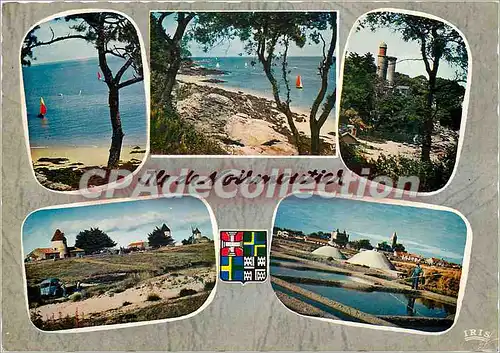 Moderne Karte Ile de Noirmoutier (Vendee) Le bois de la chaize l'Anse rouge
