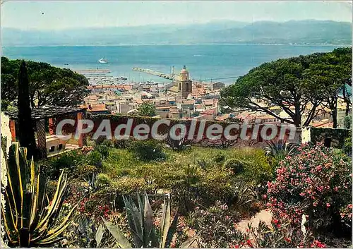 Cartes postales moderne La Cote d'Azur Saint Tropez (Var) Vue generale