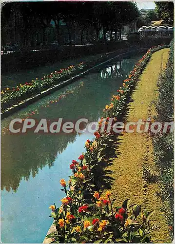 Cartes postales moderne Perpignan les Quais de la Basse