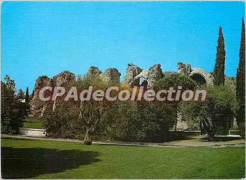 Cartes postales moderne Frejus Les arenes