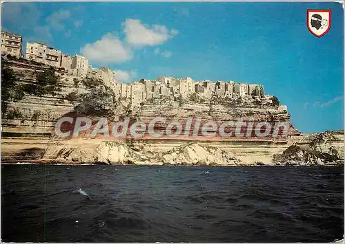 Cartes postales moderne Corse Ile d'Amour Bonifacio Les Celebres Falaises et la Ville ou sejournerent