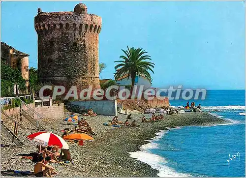 Cartes postales moderne Miomo (Corse) Au pied de Cette tour