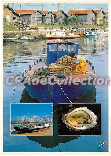 Moderne Karte Bassin d'Arcachon (Gironde) Le triage des  huitres