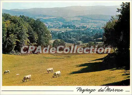 Cartes postales moderne Paysage du Morvan