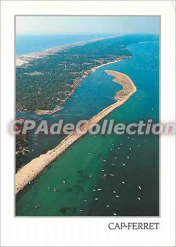 Cartes postales moderne Cap Ferret (Gironde)