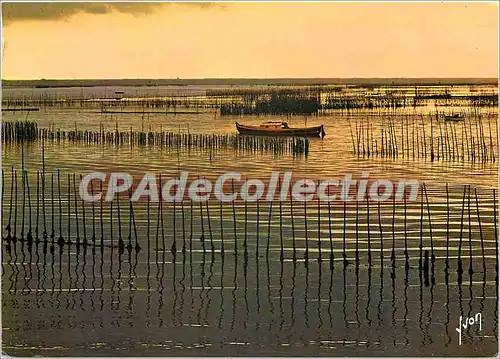 Cartes postales moderne Bassin d'Arcachon (Gironde) Dans les parc a huitres