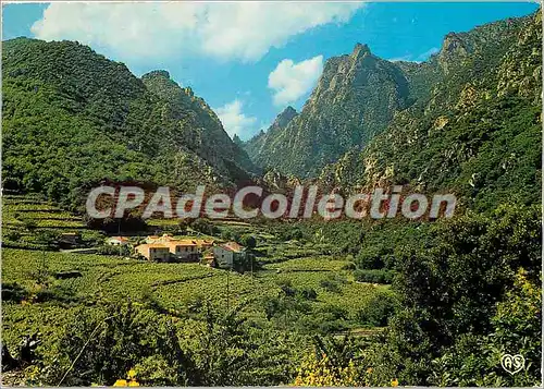 Cartes postales moderne Aux environs de Lamalou les Bains (Herault)