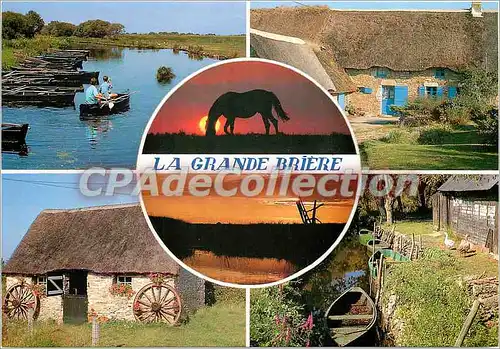 Cartes postales moderne La Grande Briere (Loire Atlantique) Pays d'herbe et de tourbe