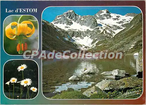 Cartes postales moderne Hautes Pyrenees le Lac d'Estom alt 1804 m