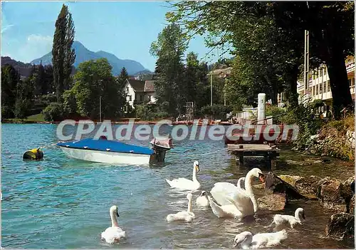 Cartes postales moderne Lac d'Annecy (Hte Sav) Promenade en famille