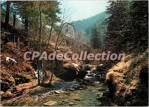 Cartes postales moderne La Chapelle N D des Fontaines la Bigue (A Mmes)