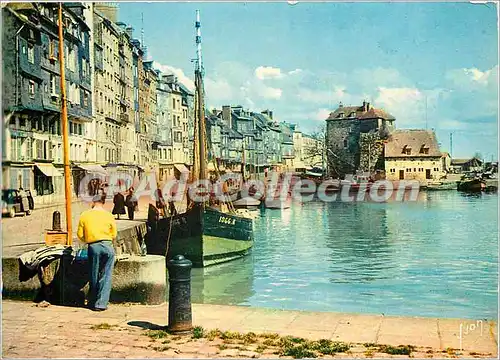 Cartes postales moderne La Luxuriante Normandie Honfleurs (Calvados) Bassin de l'Ouest et quai Sainte Catherine