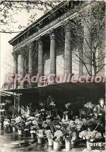 Moderne Karte Paris Le Marche aux Fleurs Place de la Madeleine