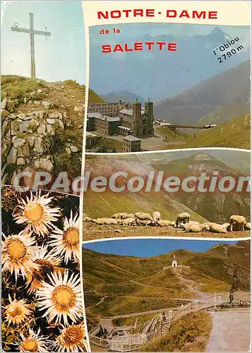 Cartes postales moderne Sanctuaire N D de la Salette (Isere) ALT 1770 m