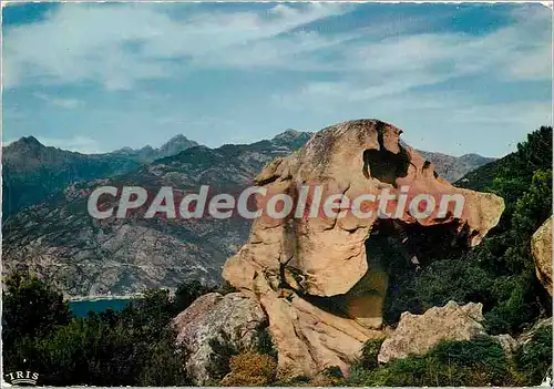 Cartes postales moderne Charmes et Couleurs de la Corse les Calanche de piana la tete de chien