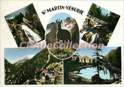 Cartes postales moderne Saint Martin Vesubie (A M) La Boreon les Cascade le Vallon