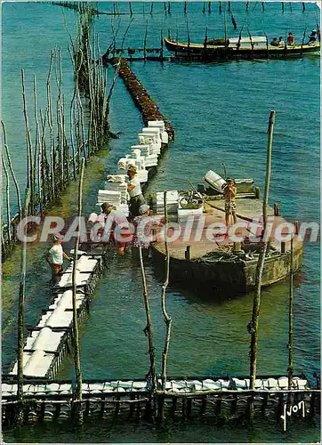 Moderne Karte Bassin d'Arcachon (Gironde) Travail Ostreicole La Pose des Tuiles