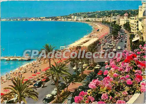 Cartes postales moderne Nice Cote d'Azur French Riviera La Promenade des Anglais