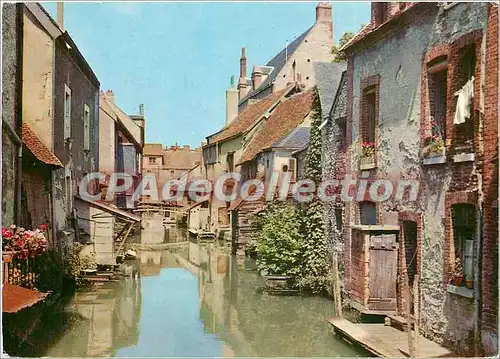 Cartes postales moderne Montargis (Loiret) La Venise du Gatinais rue sur l'eau