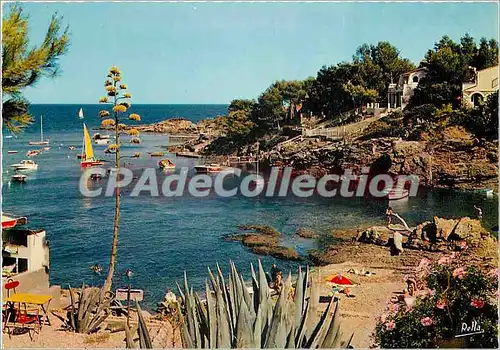 Cartes postales moderne La Cote d'Azur Varoise Les Calanques Des Issambres (Var)