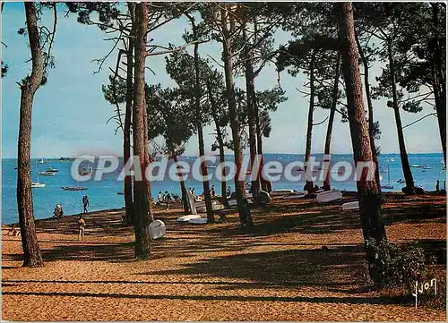 Cartes postales moderne Baie d'Arcachon (Gironde) La Pointe aux Chevaux un joli Coin de la baie Cote ouest