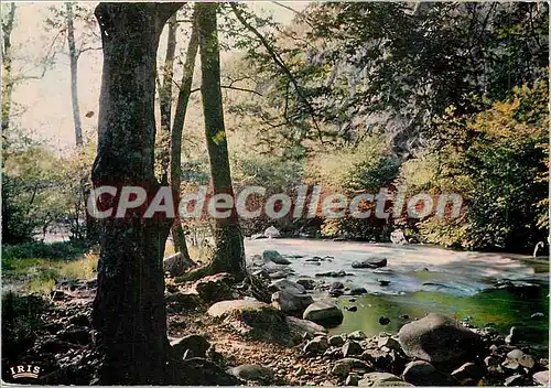 Cartes postales moderne Avallon (Yonne) Les Bords du Cousin